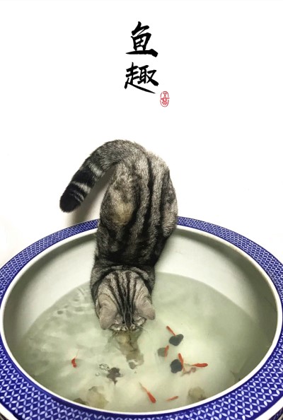 六库宝典资料免费大全